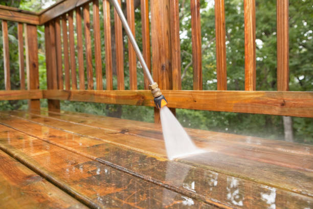 Best Gutter Cleaning  in Coaldale, PA